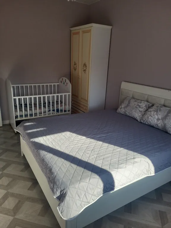 Дом с камином, зоной барбекю, батутом