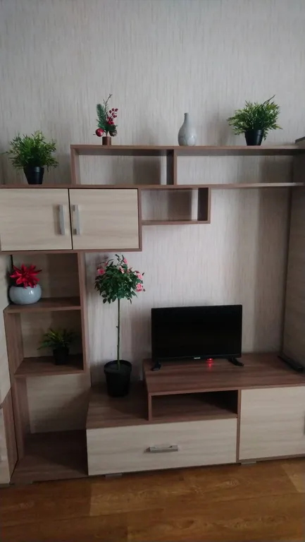 Комфортная студия в Новом Петергофе