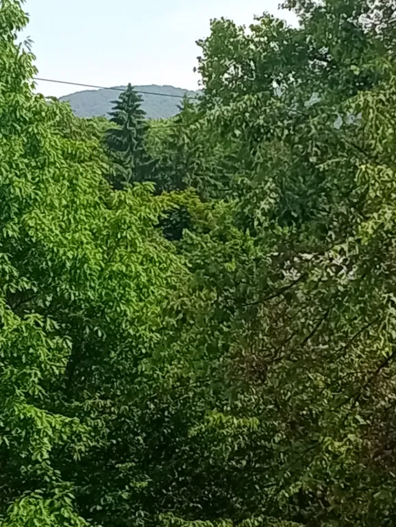 Квартира Уютная квартира в историческом центре города — Владикавказ