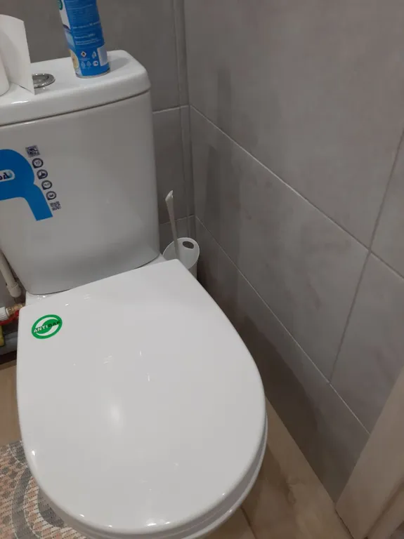 Двухкомнатная квартира в центре города