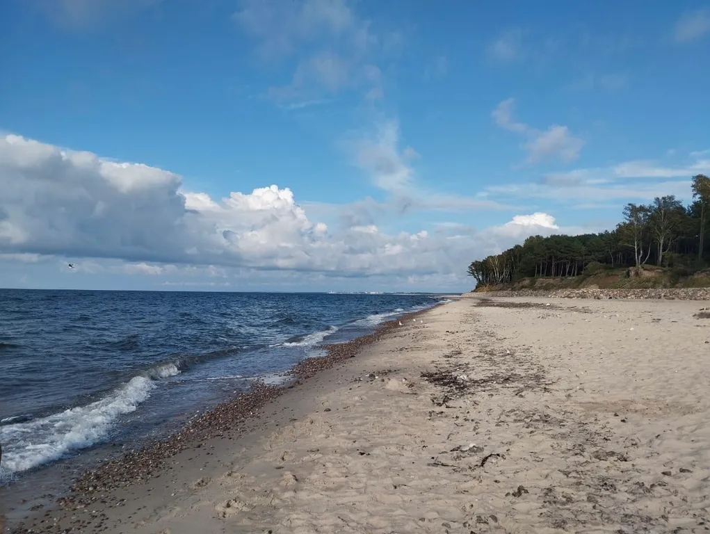 1-к квартира в новом ЖК