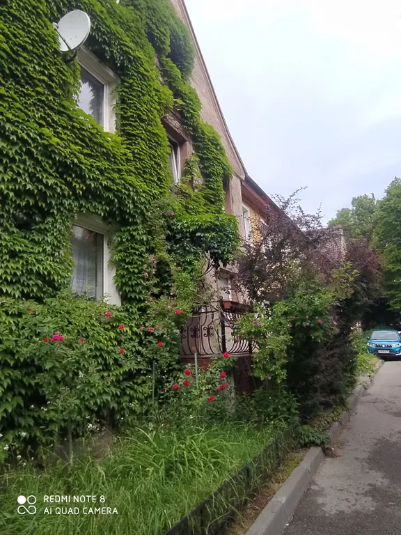 Прусский Кот  (в историческом районе Ratshof на границе с Amalienau)