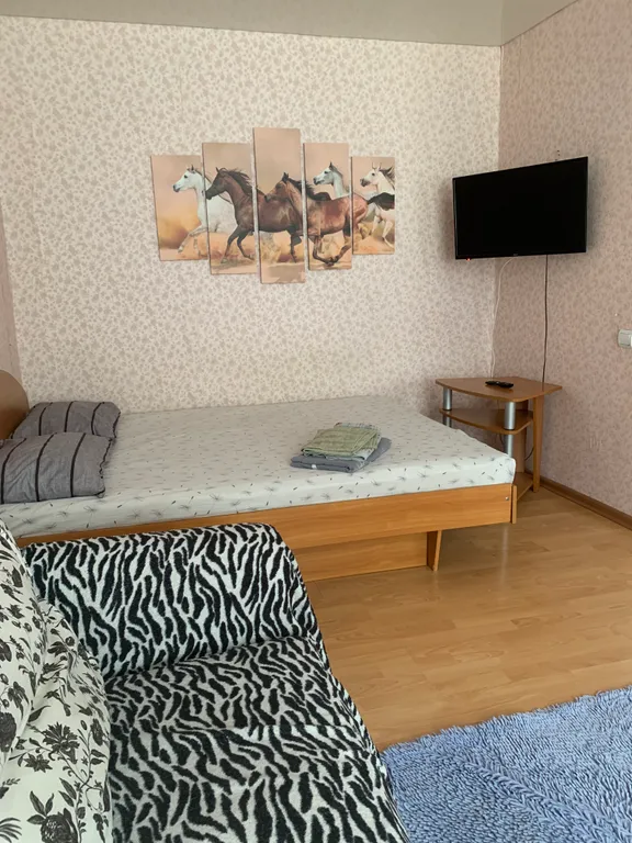 Уютная квартира на первом этаже в центре города