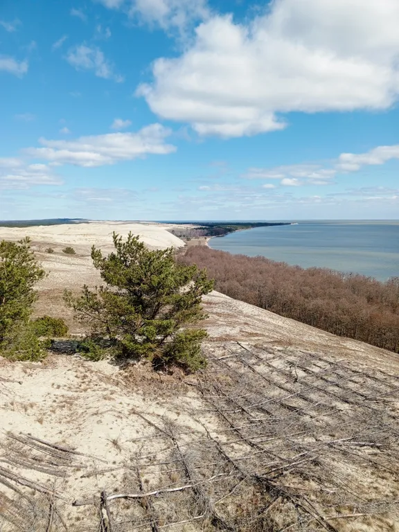 Квартира Под звук морской волны, атмосферная двушка для комфортного отдыха — Зеленоградск