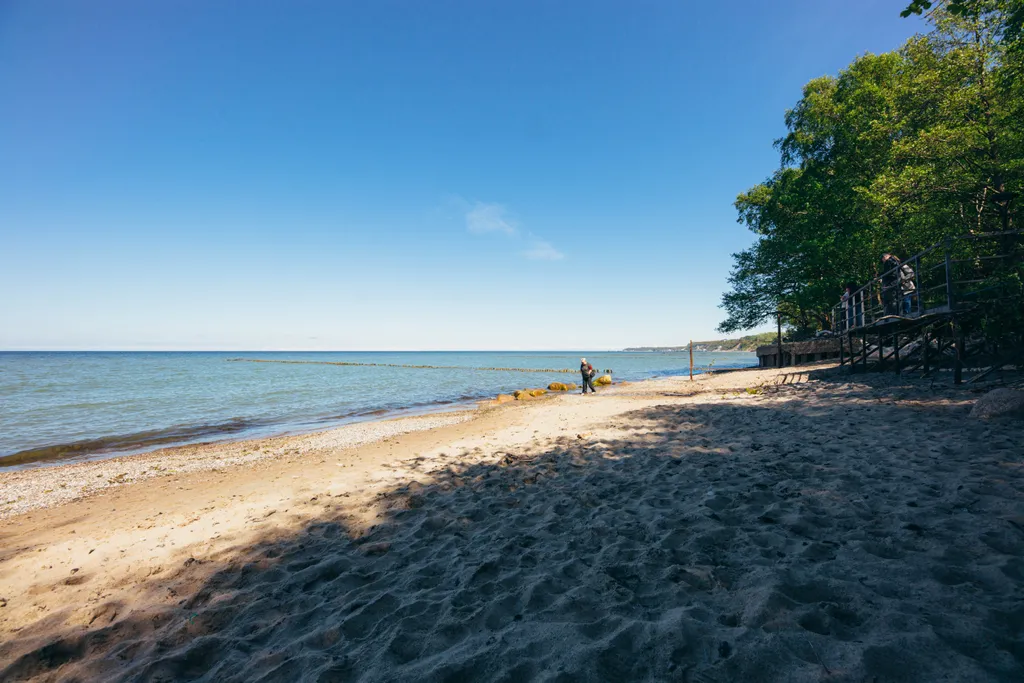 Квартира Апартаменты в парковой зоне — Светлогорск