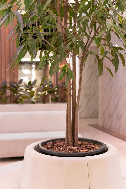 Аппартаменты в отеле Таукел