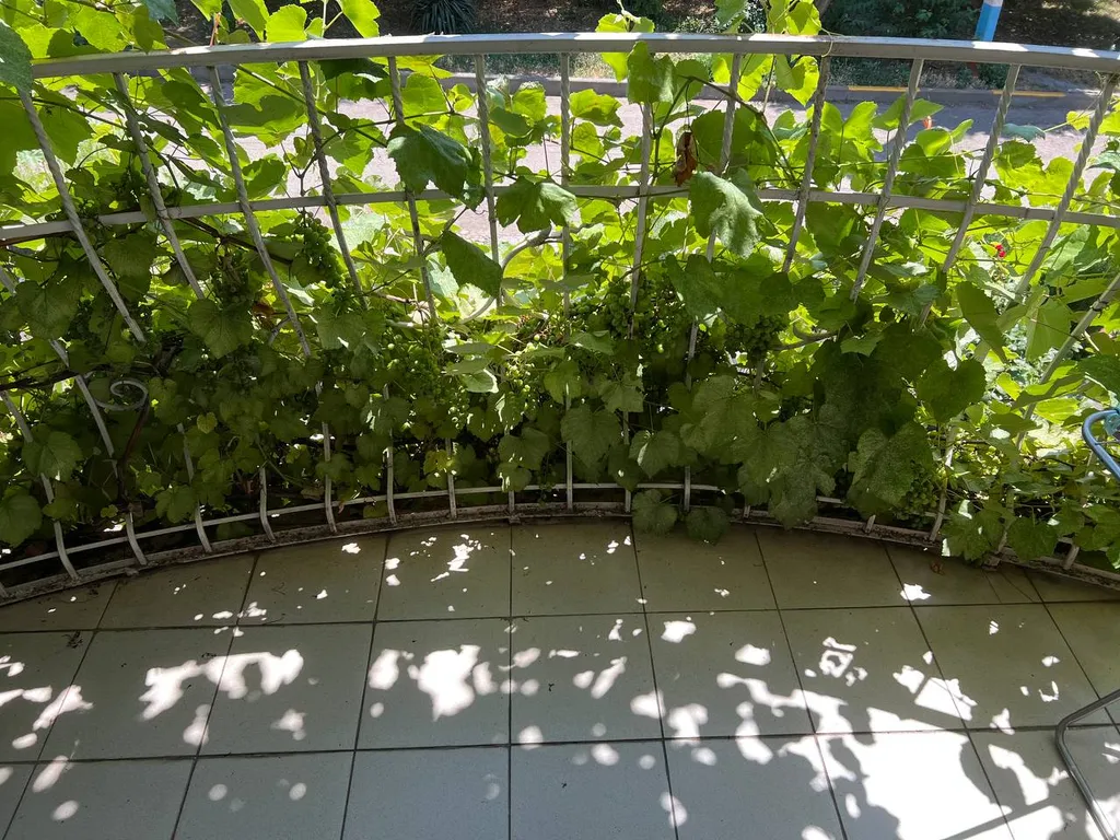 Комната для кратковременного проживания в центре