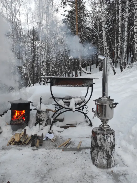 Видовой дом в лесу