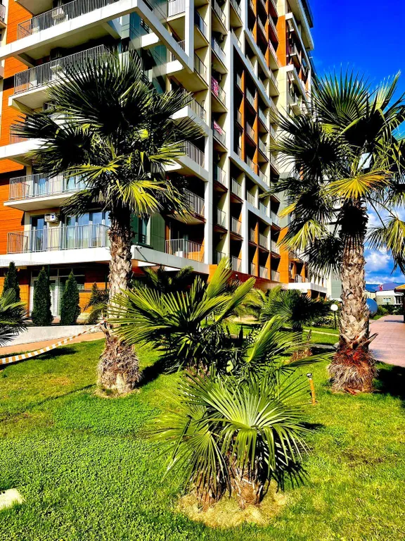 Светлая студия с шикарным видом на морской закат