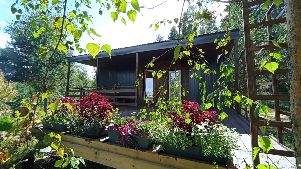 Уютный домик в сосновом лесу