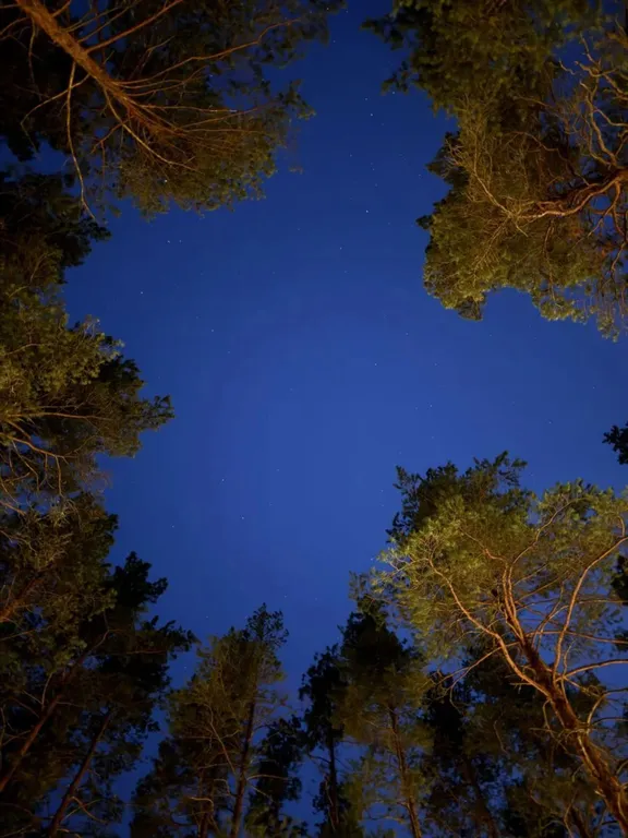 Коттедж 2-комнатный Дом — Четверяково