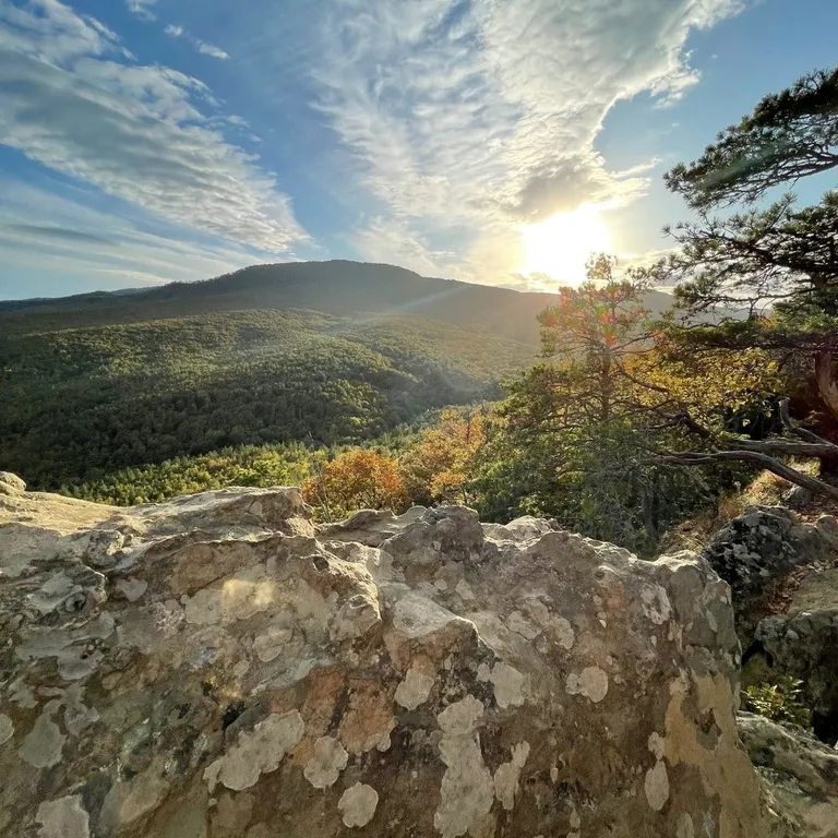 Собер Дача - частный дом рядом с лесом и винодельней