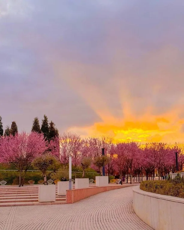 Квартира Квартира У меня как дома — Краснодар