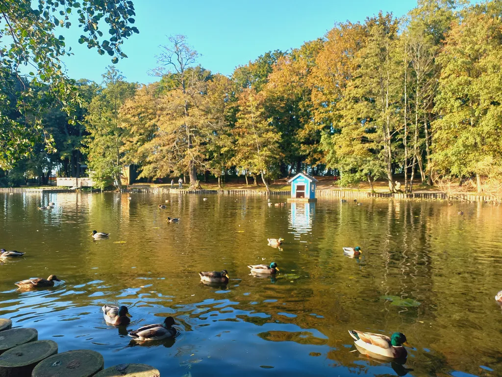 Уютная квартира у моря