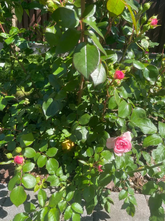 Уютный современный и стильный дом инфракрасной сауной и джакузи