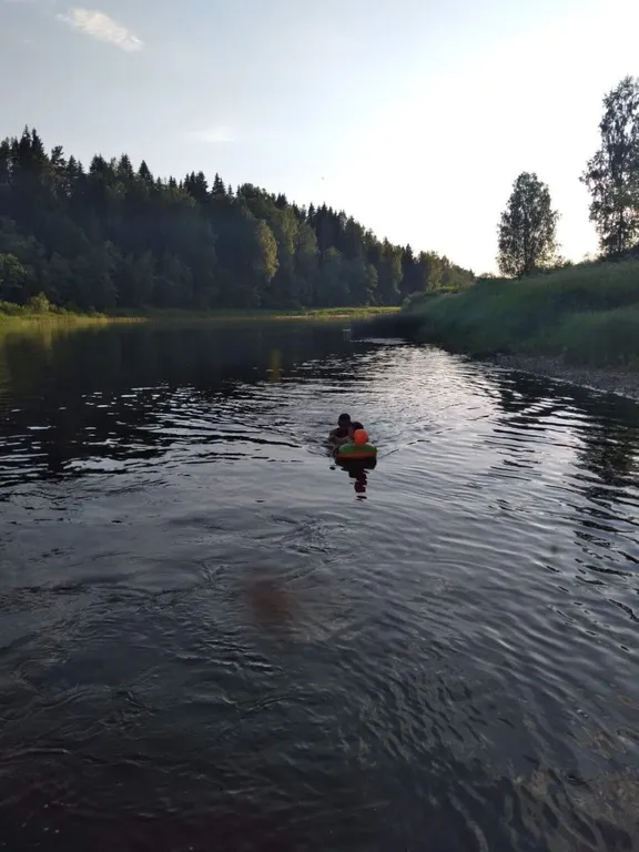 Домики в лесу на берегу реки Волге
