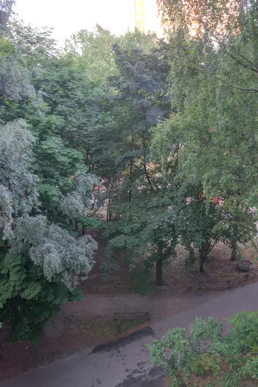 Двухкомнатная квартира у парка Сосновка