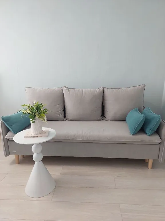 1 комнатные апартаменты в центре города