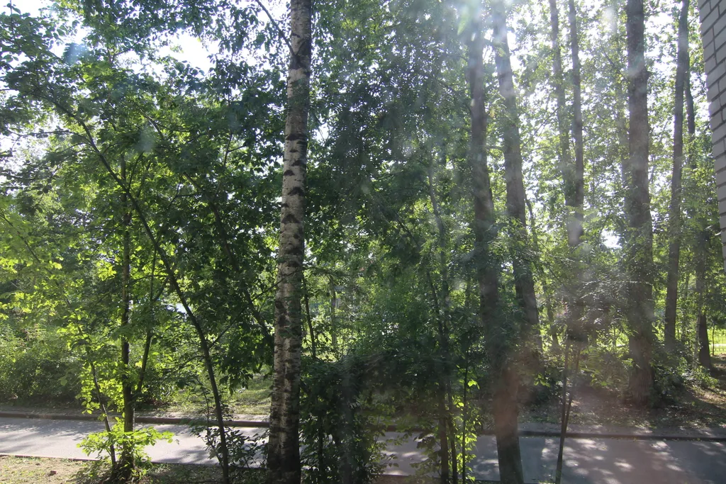 Квартира люкс рядом с центром города