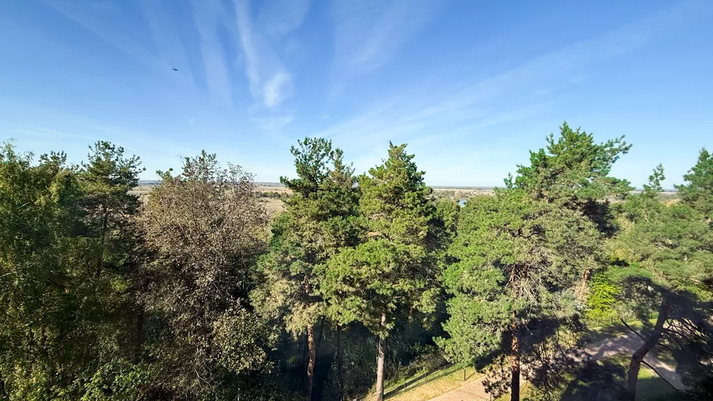 Видовая квартира в сосновом лесу