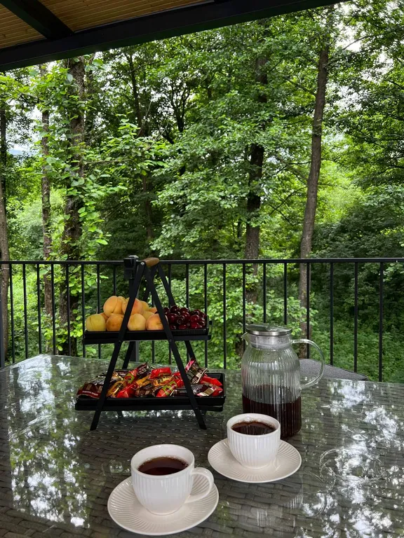 Коттедж с видом на лес и горы