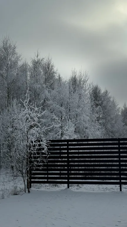Дом с сауной вблизи Сорочан
