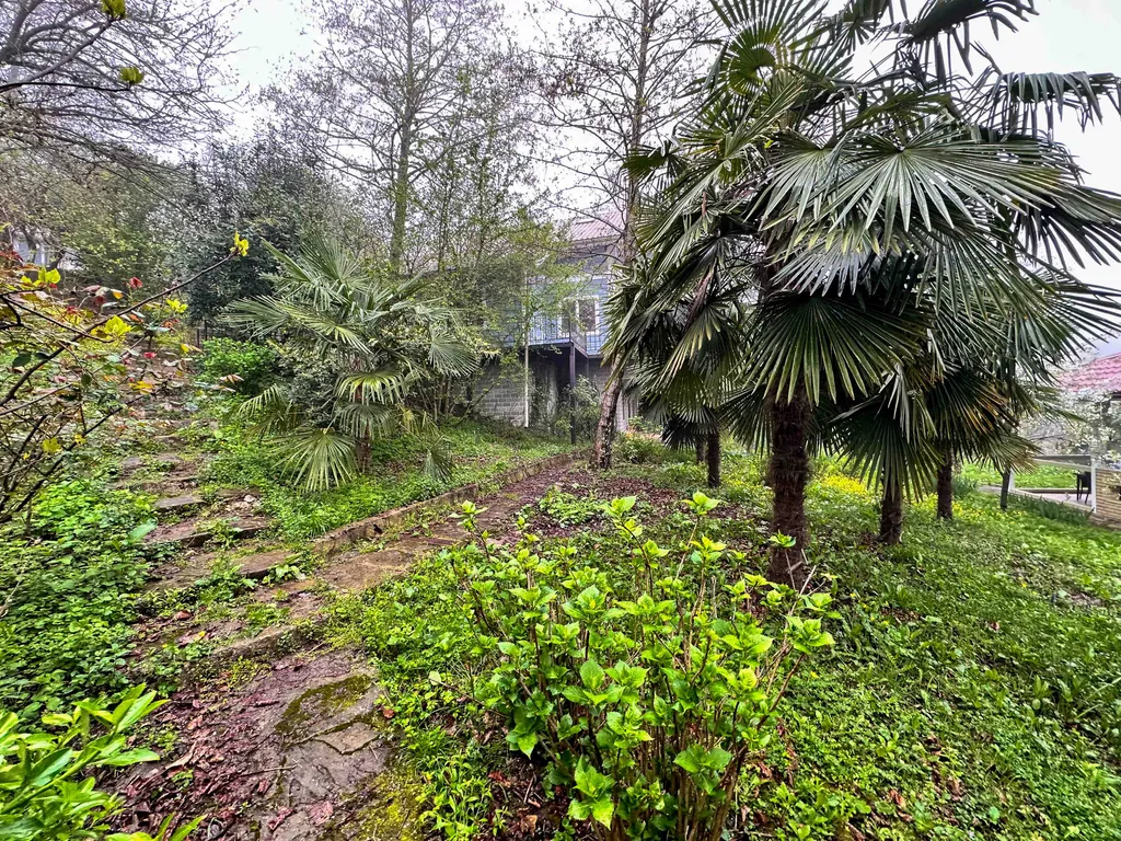 Дом в горах 38 соток