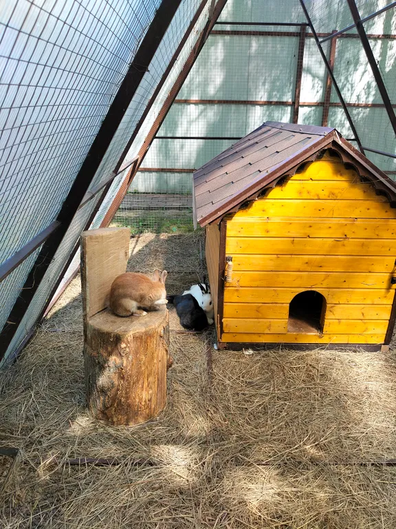 Уютный домик в лесу у пруда