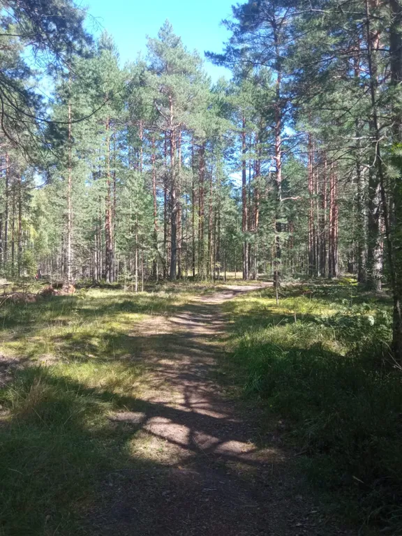 Дом у реки со своим мостком