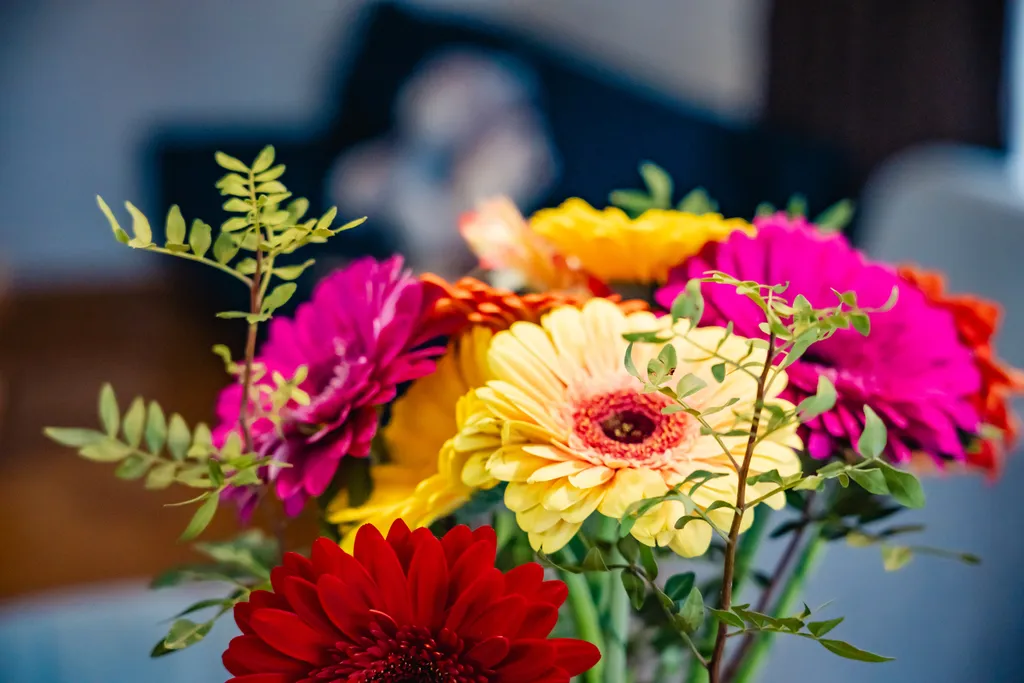 Дом для отдыха