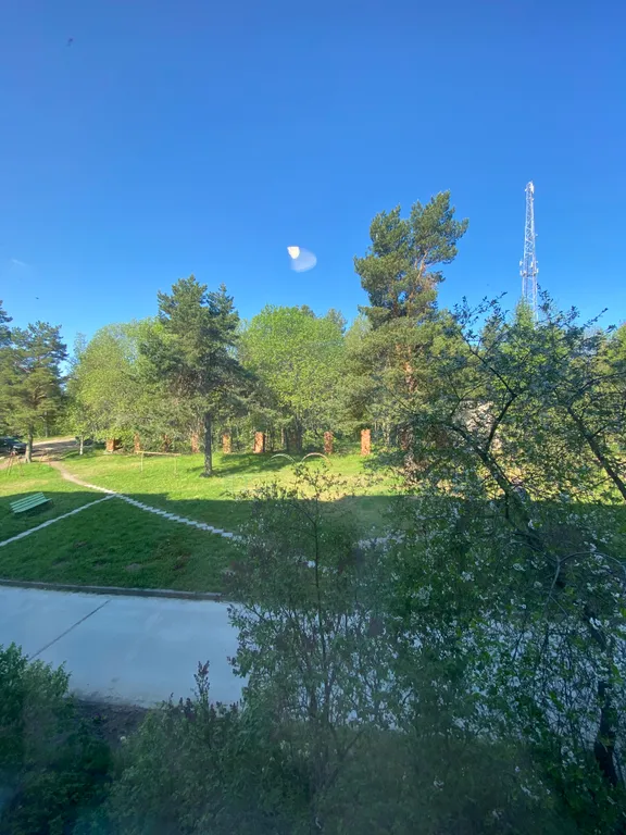 Уютная квартира с видом на цветущий двор