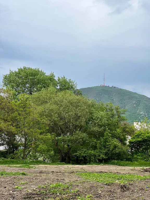 Квартира в спальном районе