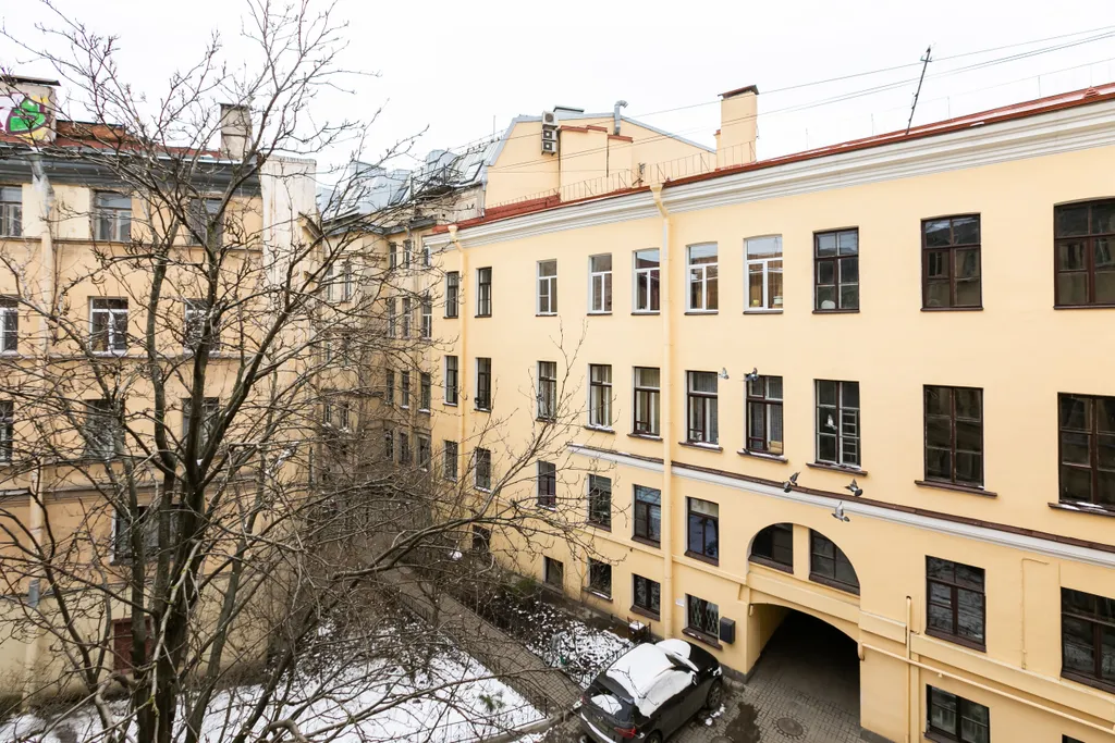 Всё рядом: мосты, музеи, парки