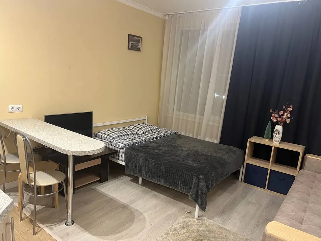 Большая студия в ЖК Спутник