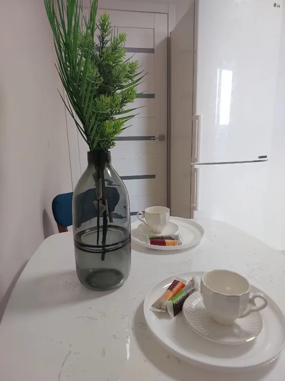 1 комнатные апартаменты в центре города