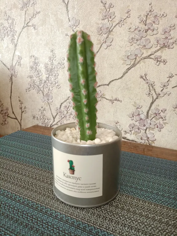 1-комнатная квартира в центре города