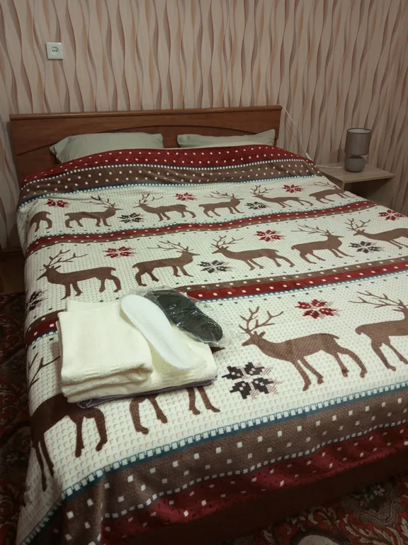 Уютный, просторный дом в исторической части города