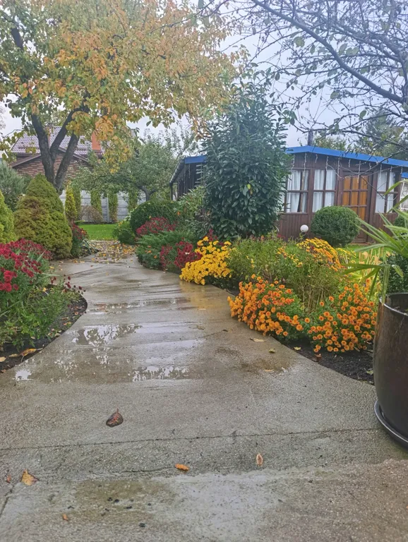 Гостевой дом с бассейном и баней на дровах