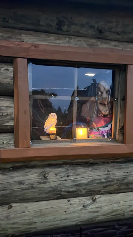 Коттедж Эко дом с баней и бассейнами рядом с Санкт-Петербургом — Кискелово