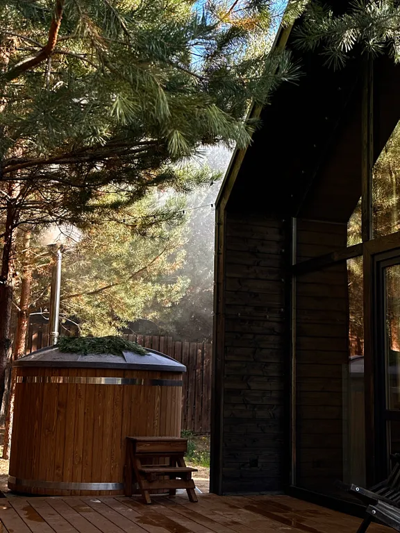 Барнхаус с панорамными окнами и банным чаном фурако