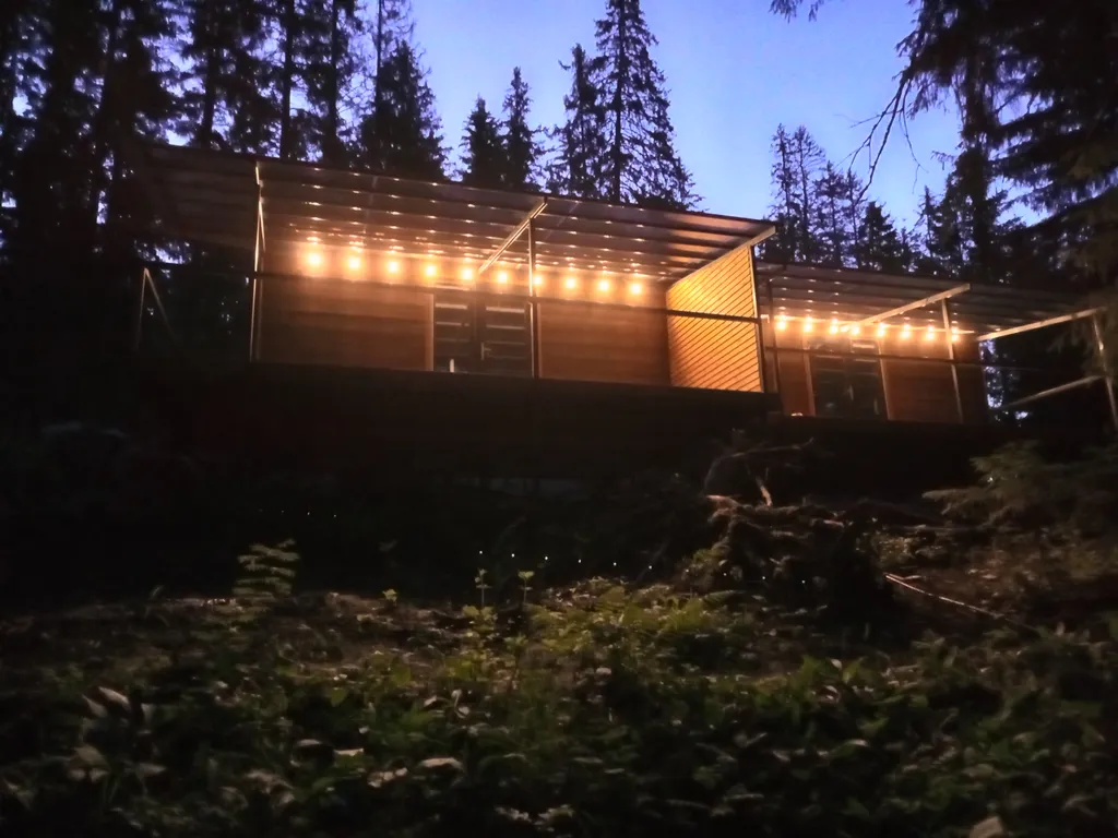 Новые домики среди векового леса на берегу Ладоги