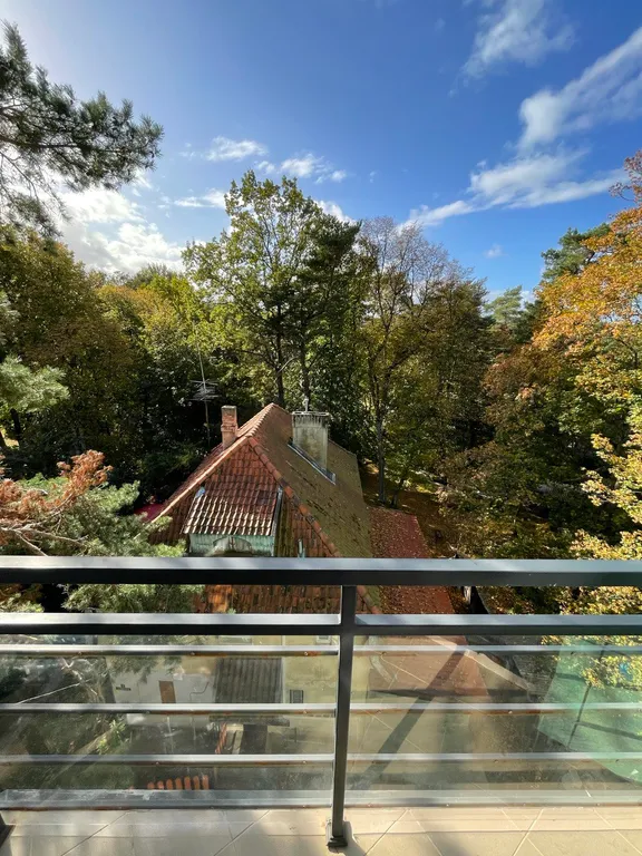 Квартира Апартаменты Лесной голубь в новом доме с отличной локацией — Светлогорск