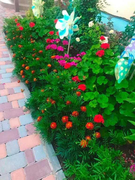 Гостевой дом "Зарафшан" расположен в 300 метрах от песчаного пляжа