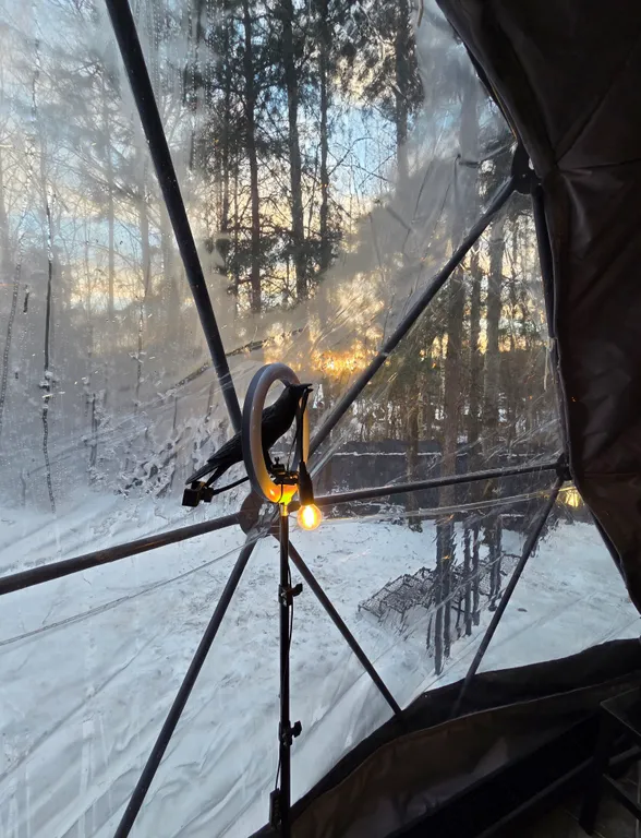 Новая сфера для глэмпинга Бёрд&Self vibe с дизайнерским интерьером