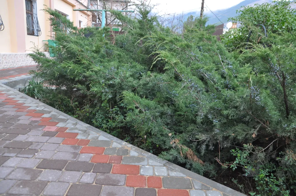 5-комнатная Квартира