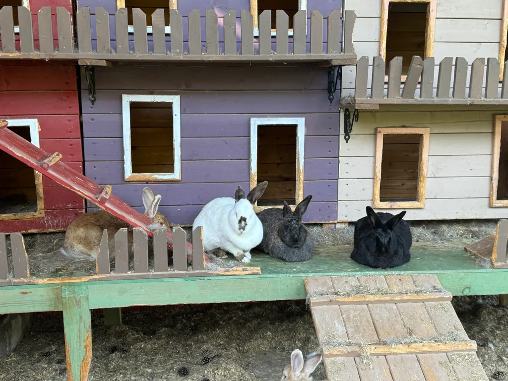 Дом с сауной  в Капитан Клаб