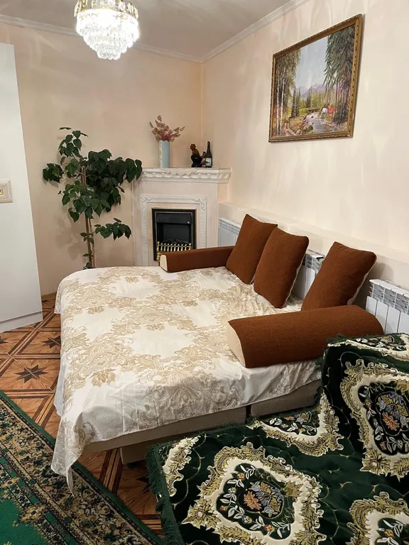 Квартира-студия в центре