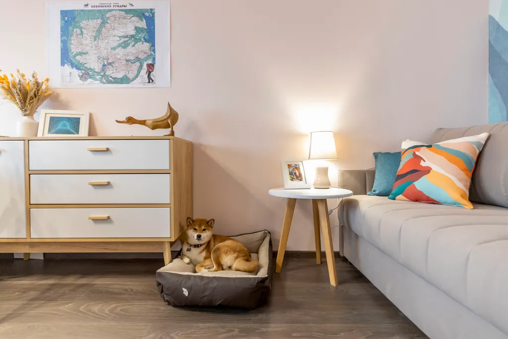 Уютная квартира с видом на озеро и горы