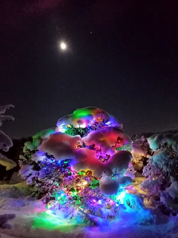 Дом на берегу Красного озера