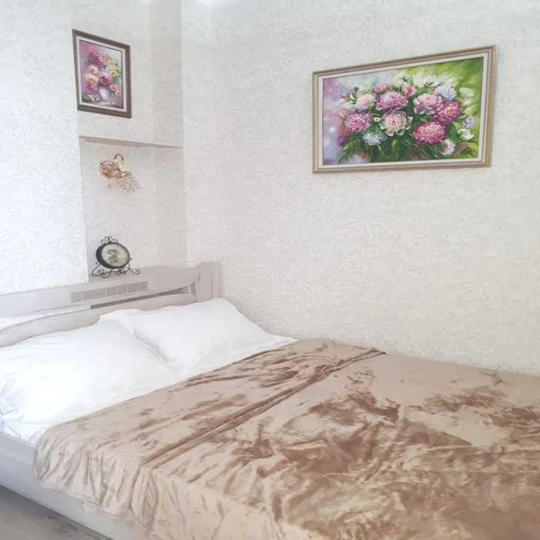 Квартира-студия с отдельной спальней